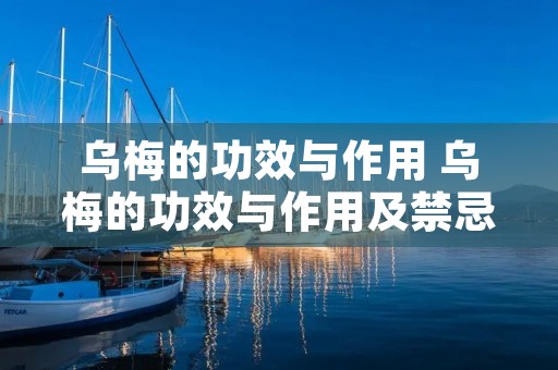 乌梅的功效与作用 乌梅的功效与作用及禁忌