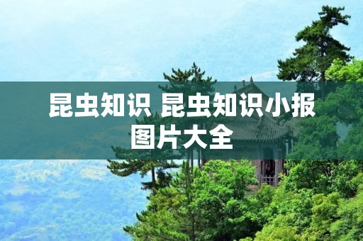 昆虫知识 昆虫知识小报图片大全 昆虫知识 昆虫知识小报图片大全