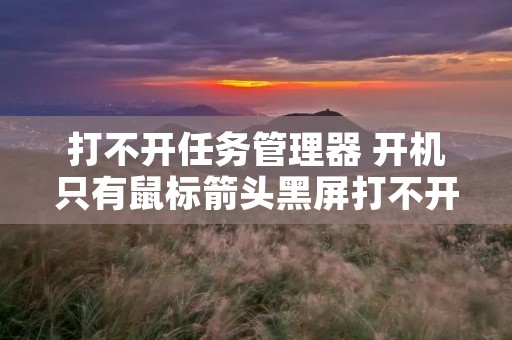 打不开任务管理器 开机只有鼠标箭头黑屏打不开任务管理器 打不开任务管理器 开机只有鼠标箭头黑屏打不开任务管理器