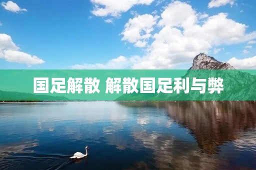 国足解散 解散国足利与弊