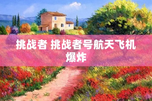 挑战者 挑战者号航天飞机爆炸 挑战者 挑战者号航天飞机爆炸