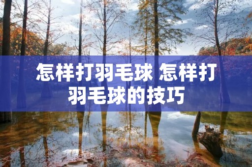 怎样打羽毛球 怎样打羽毛球的技巧