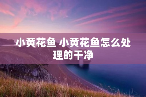 小黄花鱼 小黄花鱼怎么处理的干净