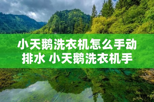 小天鹅洗衣机怎么手动排水 小天鹅洗衣机手动排水阀在哪里
