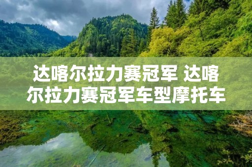 达喀尔拉力赛冠军 达喀尔拉力赛冠军车型摩托车