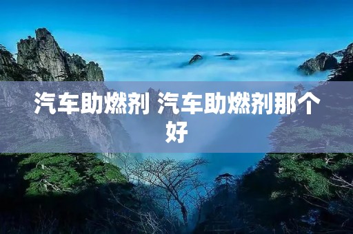 汽车助燃剂 汽车助燃剂那个好