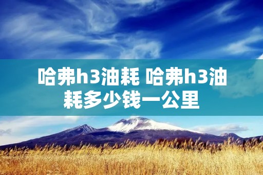 哈弗h3油耗 哈弗h3油耗多少钱一公里 哈弗h3油耗 哈弗h3油耗多少钱一公里