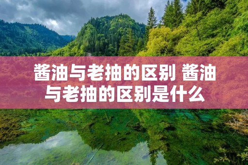 酱油与老抽的区别 酱油与老抽的区别是什么 酱油与老抽的区别 酱油与老抽的区别是什么