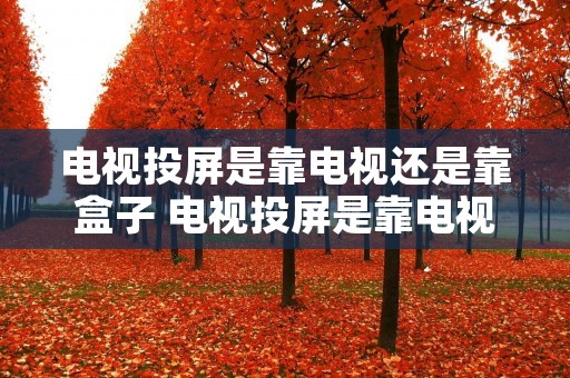 电视投屏是靠电视还是靠盒子 电视投屏是靠电视还是靠盒子呢