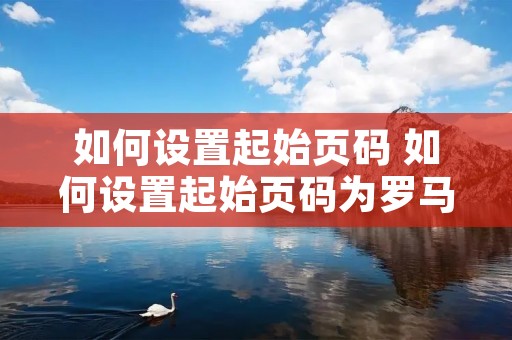 如何设置起始页码 如何设置起始页码为罗马数字