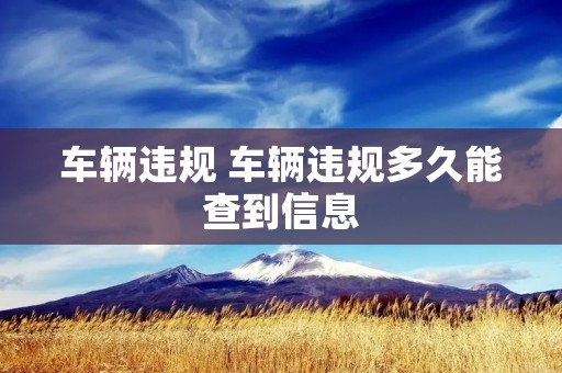 车辆违规 车辆违规多久能查到信息