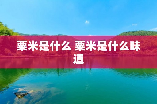 粟米是什么 粟米是什么味道