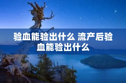 验血能验出什么 流产后验血能验出什么 验血能验出什么 流产后验血能验出什么