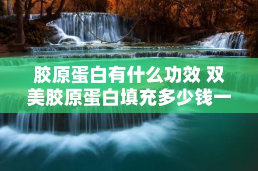 胶原蛋白有什么功效 双美胶原蛋白填充多少钱一支