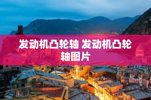 发动机凸轮轴 发动机凸轮轴图片
