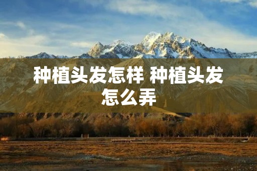种植头发怎样 种植头发怎么弄 种植头发怎样 种植头发怎么弄