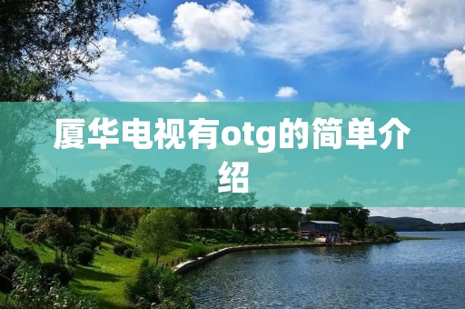 厦华电视有otg的简单介绍