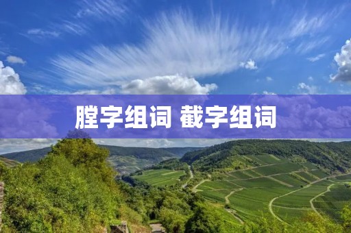 膛字组词 截字组词 膛字组词 截字组词