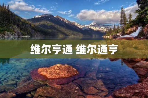 维尔亨通 维尔通亨