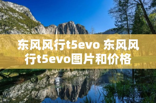 东风风行t5evo 东风风行t5evo图片和价格