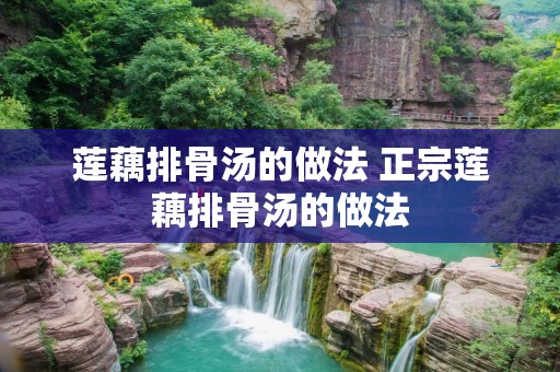 莲藕排骨汤的做法 正宗莲藕排骨汤的做法