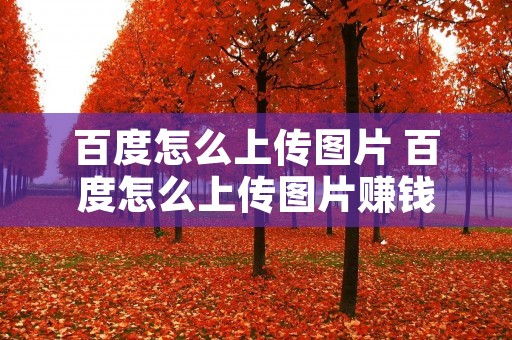 百度怎么上传图片 百度怎么上传图片赚钱