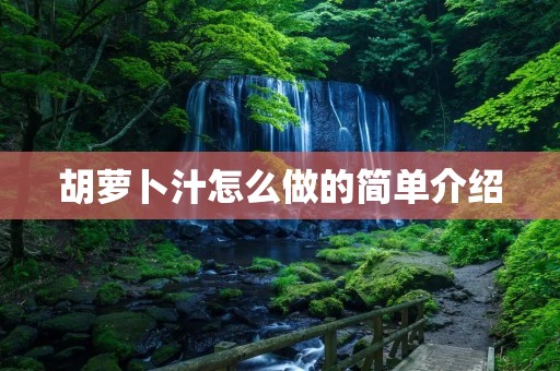 胡萝卜汁怎么做的简单介绍 胡萝卜汁怎么做的简单介绍