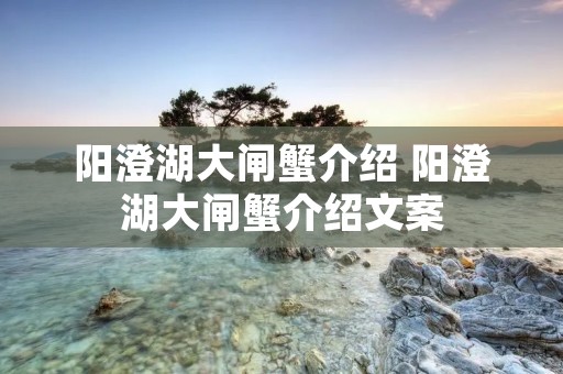 阳澄湖大闸蟹介绍 阳澄湖大闸蟹介绍文案