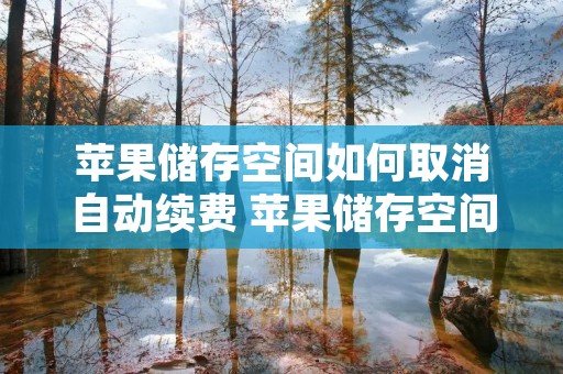苹果储存空间如何取消自动续费 苹果储存空间取消自动续费空间还会有吗 苹果储存空间如何取消自动续费 苹果储存空间取消自动续费空间还会有吗