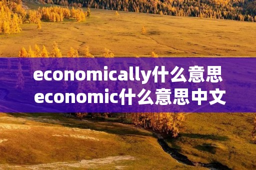 economically什么意思 economic什么意思中文翻译