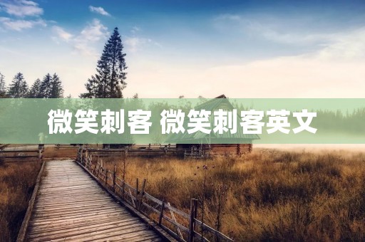 微笑刺客 微笑刺客英文