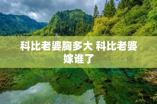 科比老婆胸多大 科比老婆嫁谁了