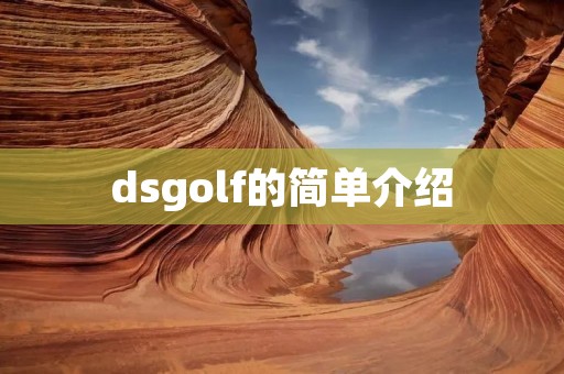 dsgolf的简单介绍