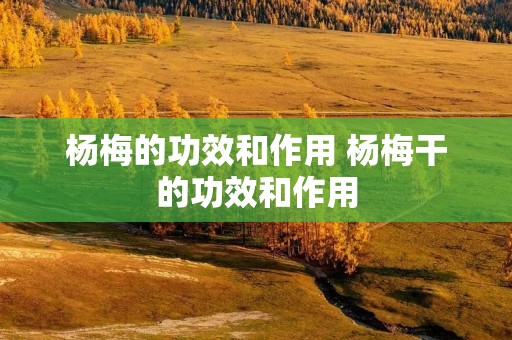 杨梅的功效和作用 杨梅干的功效和作用 杨梅的功效和作用 杨梅干的功效和作用