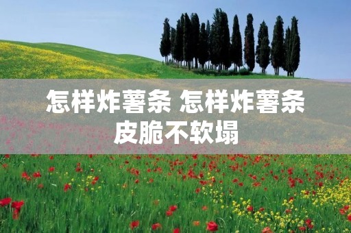 怎样炸薯条 怎样炸薯条皮脆不软塌 怎样炸薯条 怎样炸薯条皮脆不软塌