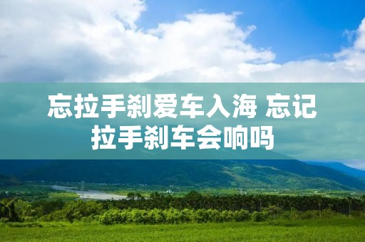 忘拉手刹爱车入海 忘记拉手刹车会响吗 忘拉手刹爱车入海 忘记拉手刹车会响吗