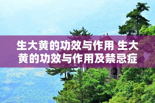 生大黄的功效与作用 生大黄的功效与作用及禁忌症