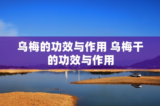 乌梅的功效与作用 乌梅干的功效与作用