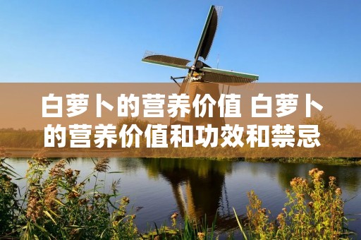 白萝卜的营养价值 白萝卜的营养价值和功效和禁忌