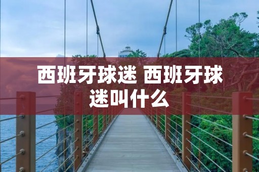 西班牙球迷 西班牙球迷叫什么