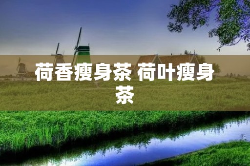 荷香瘦身茶 荷叶瘦身茶