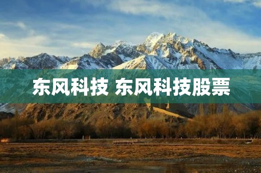 东风科技 东风科技股票