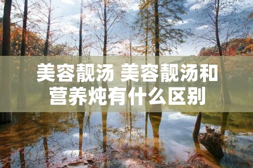 美容靓汤 美容靓汤和营养炖有什么区别