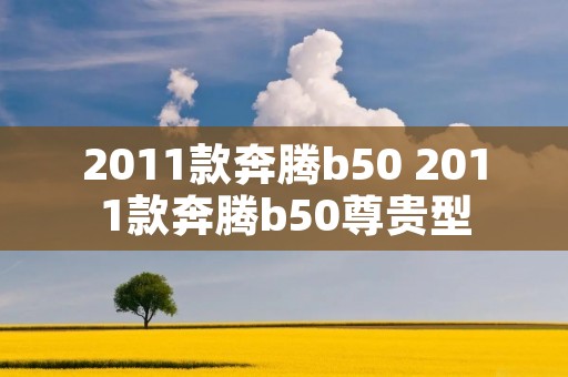 2011款奔腾b50 2011款奔腾b50尊贵型