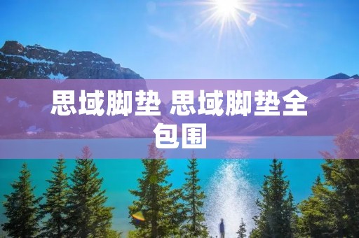 思域脚垫 思域脚垫全包围