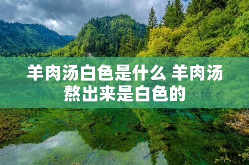 羊肉汤白色是什么 羊肉汤熬出来是白色的
