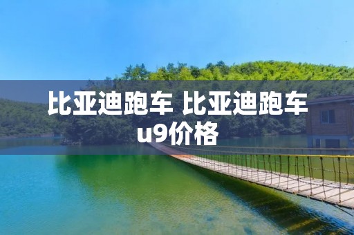 比亚迪跑车 比亚迪跑车u9价格 比亚迪跑车 比亚迪跑车u9价格
