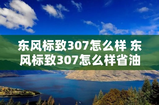 东风标致307怎么样 东风标致307怎么样省油吗