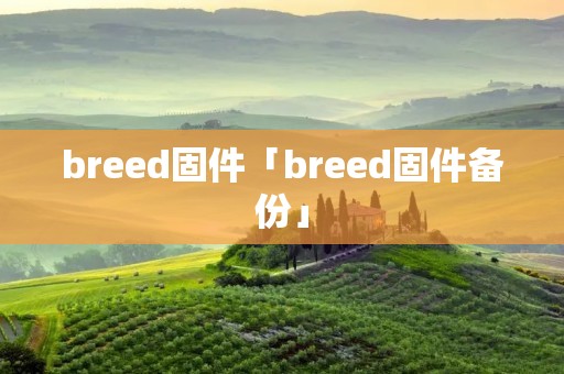 breed固件「breed固件备份」