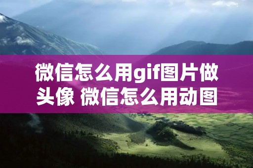 微信怎么用gif图片做头像 微信怎么用动图当头像